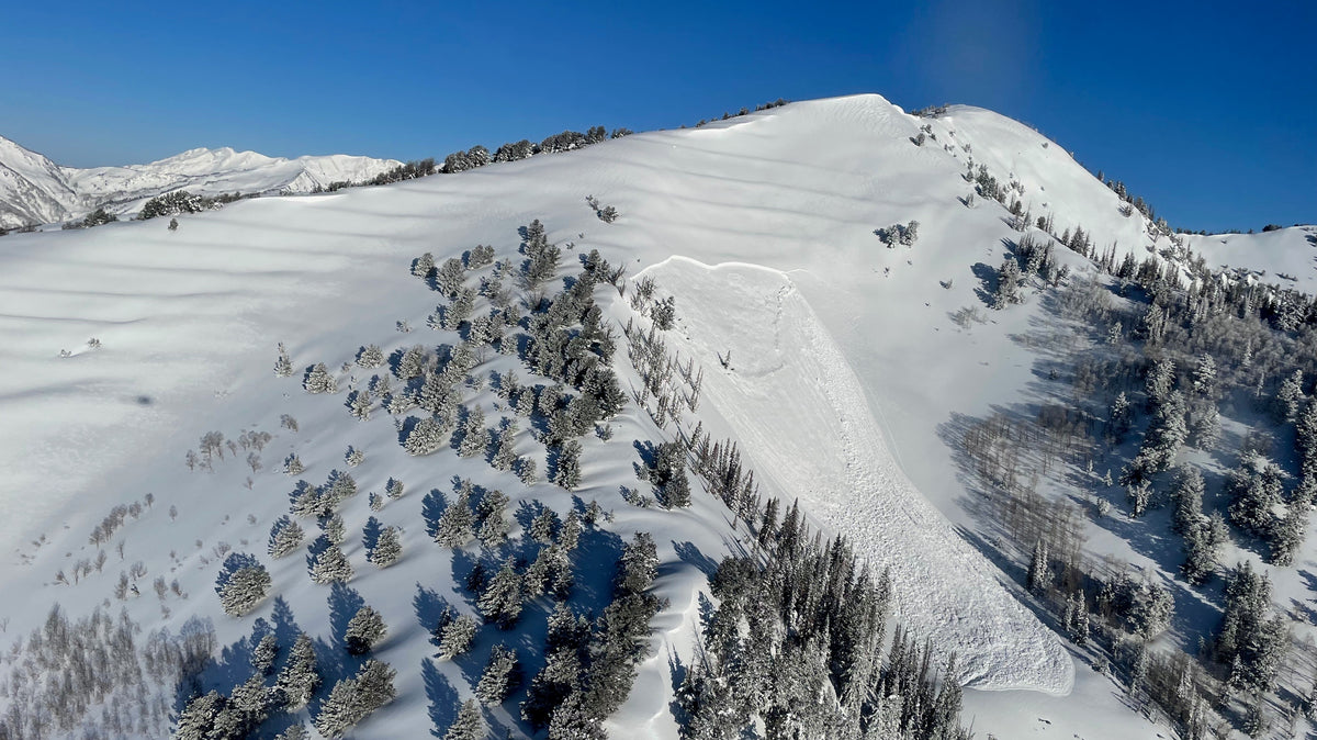 2025 Snowmobile and Snowbike Avalanche Courses - AIARE