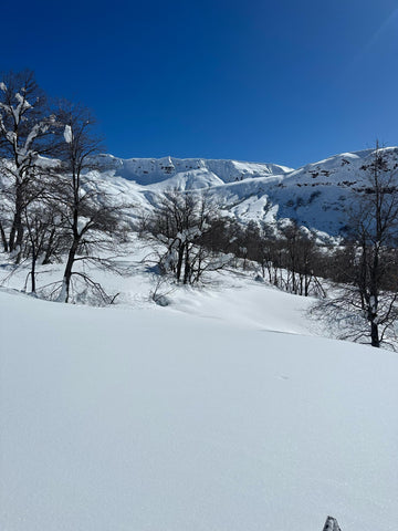 Snowmobile in Chile at Escoriales Summer 2026