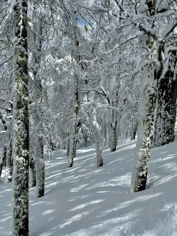 Snowmobile in Chile at Escoriales Summer 2026