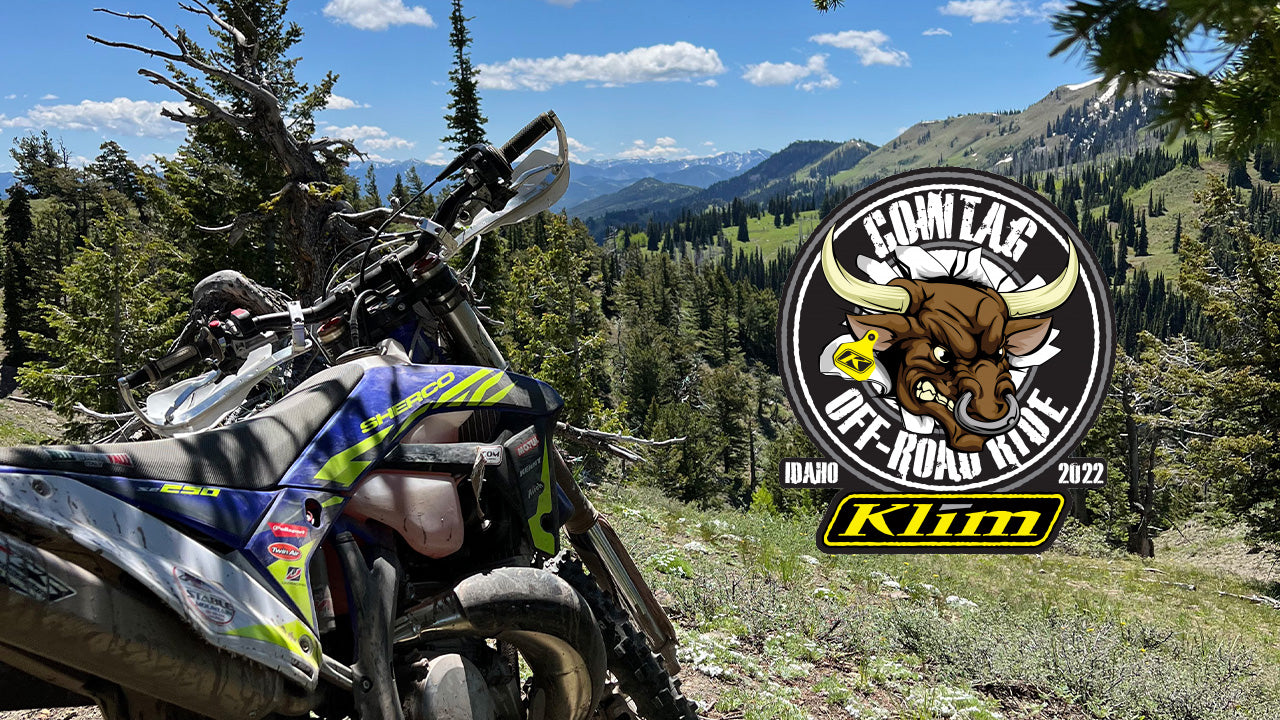 Klim Cow Tag 2022