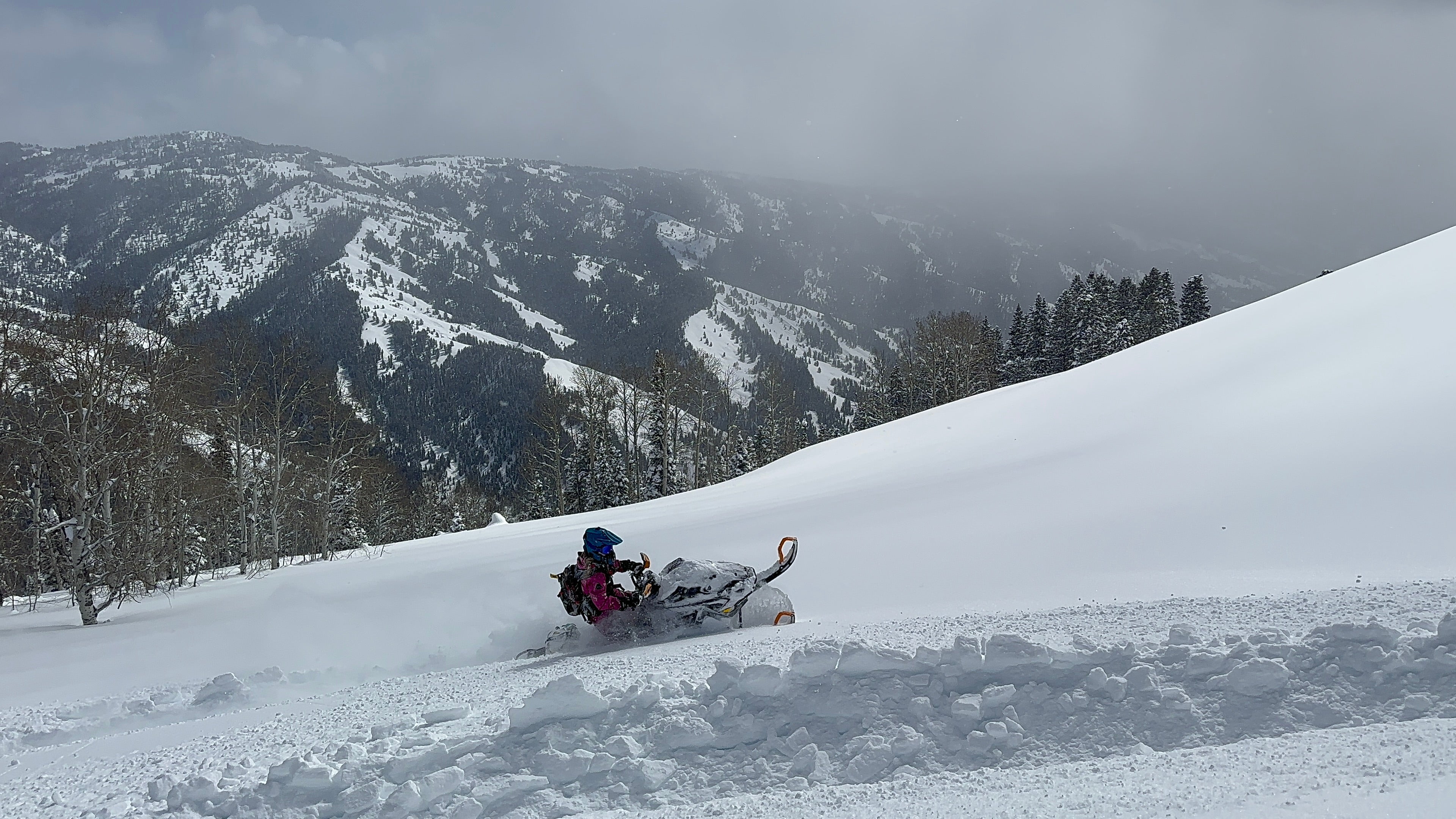 Snowmobile Parts and Accessories
