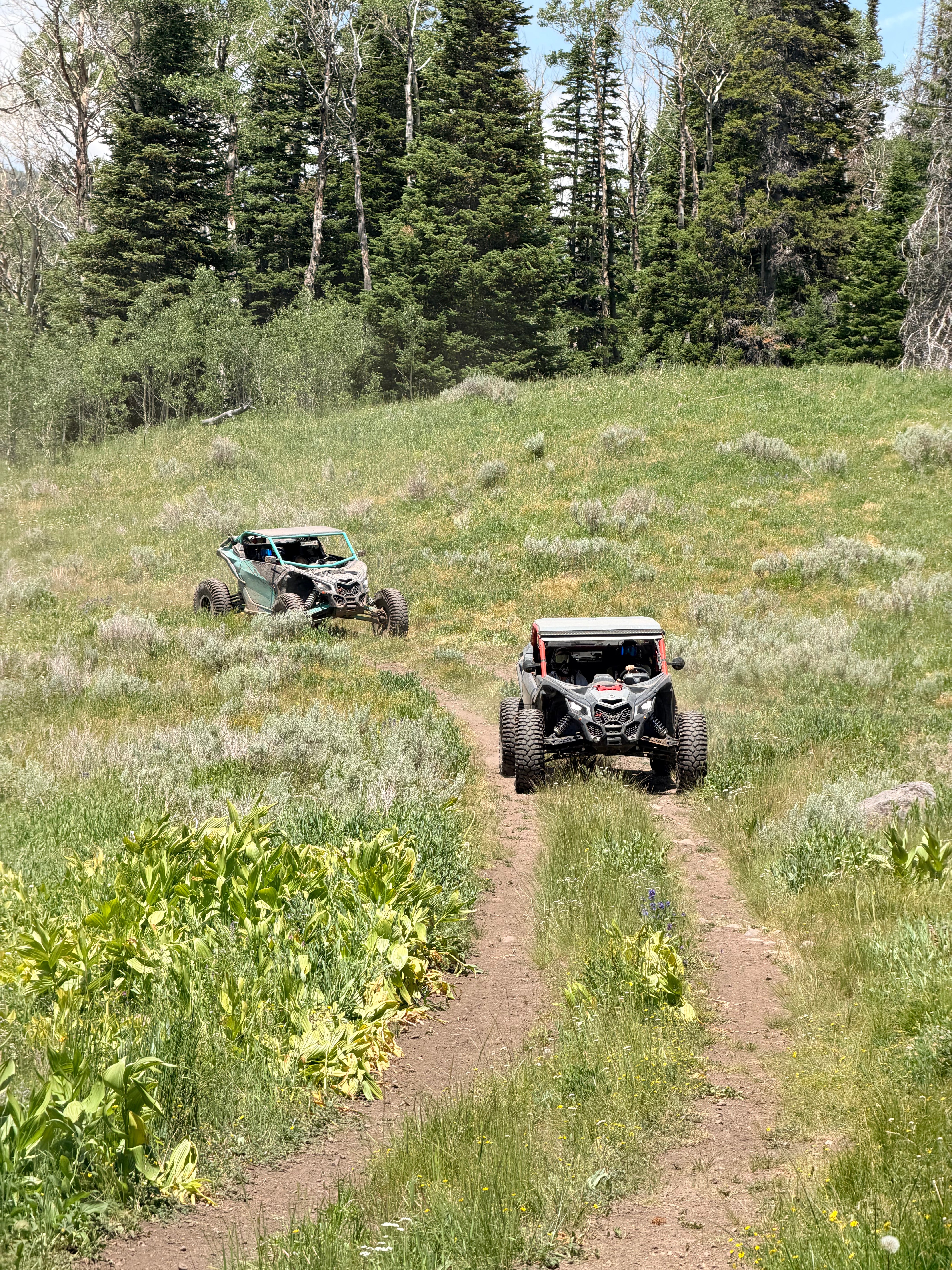 Park City UTV Tour (3 Hour Tour)