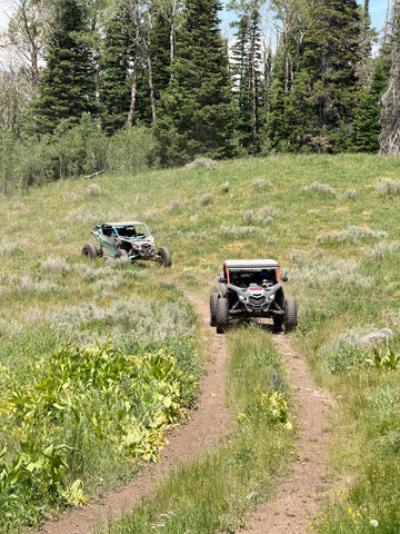 Park City UTV Tour (3 Hour Tour)