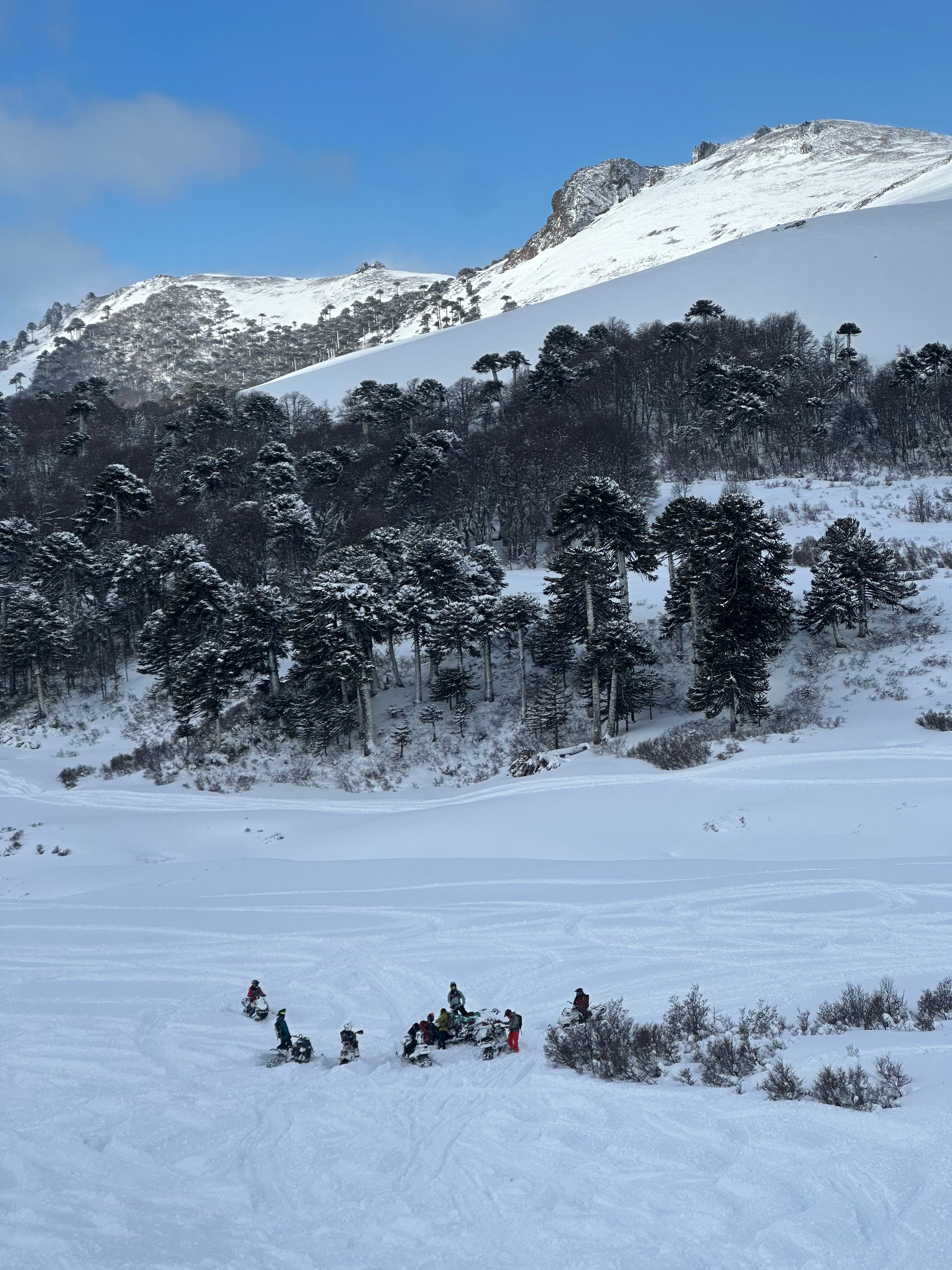 Snowmobile in Chile at Escoriales Summer 2026