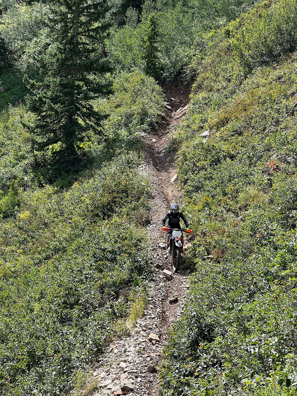 Technical singletrack dirt bike riding in Northern Utah
