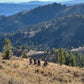 Southeast Idaho Dirt Bike Tour – Idaho Falls Adventure Ride