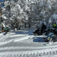 Snowmobile in Chile with Steve & DJ at Escoriales