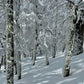 Snowmobile in Chile with Steve & DJ at Escoriales