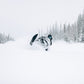 Dec 19-20 2025 AIARE Motorized Level 1 - Utah